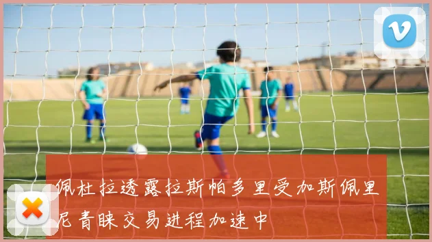 佩杜拉透露拉斯帕多里受加斯佩里尼青睐交易进程加速中