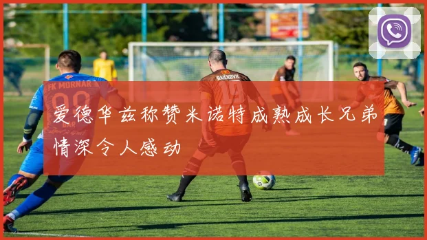 爱德华兹称赞米诺特成熟成长兄弟情深令人感动