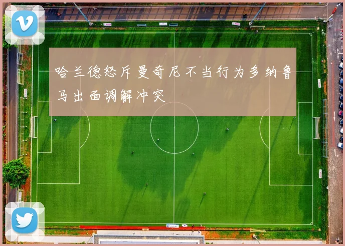 哈兰德怒斥曼奇尼不当行为多纳鲁马出面调解冲突